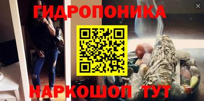 ешки Шелехов