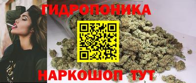 тгк Шебекино